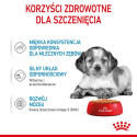 ROYAL CANIN SHN Medium kutsikatoit kastmes - märg kutsikatoit - 10x140g