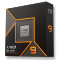 Protsessor AMD AMD Ryzen R9-9900X