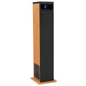 Multimedia tower speaker TSBT-360 system with fm radio, CD player, USB and bluetooth