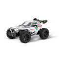 RC Car Team Rider 2,4GHz