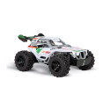 RC Car Team Rider 2,4GHz