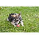 Dog Toy - KERBL Rugby ToyFastic 12cm Interactive Rubber Red/Green