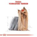 Dry dog ​​food - Royal Canin Yorkshire Terrier Adult 3kg