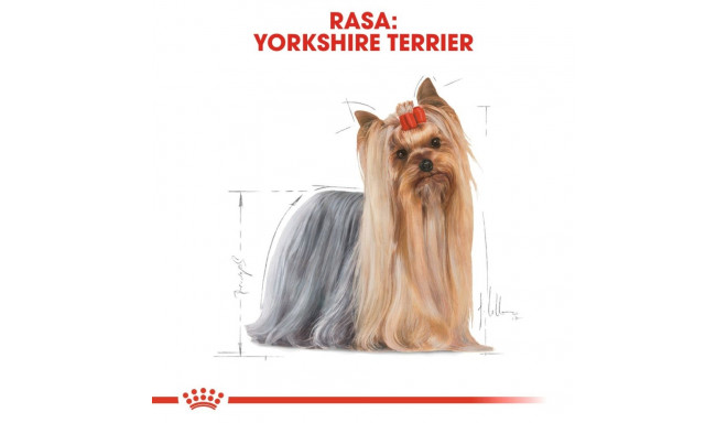 Dog Food - ROYAL CANIN Yorkshire Terrier Adult 3kg Royal Canin BHN Yorkshire Terrier Adult Dry Dog F