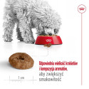 Dog Food - Royal Canin Mini Ageing Adult +12 3.5 Kg