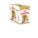 Dog Food - Royal Canin Yorkshire Terrier Adult 85g