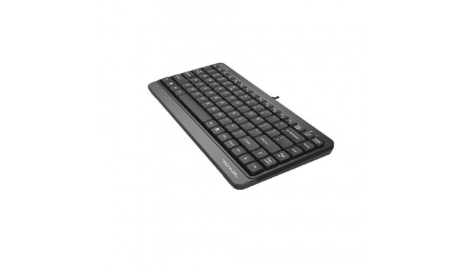 Keyboard - A4Tech FSTYLER FK11 USB Adjustable Black