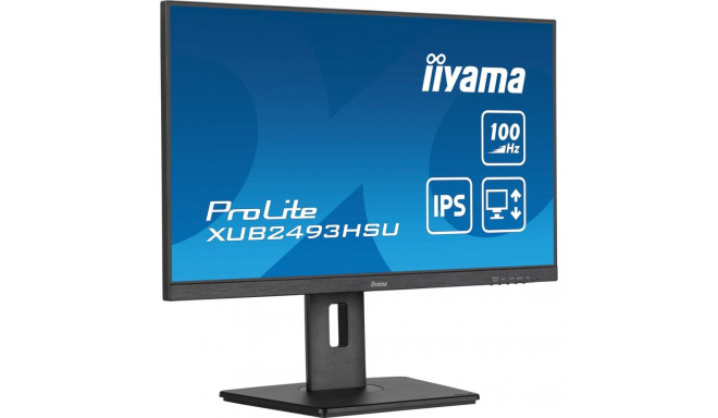 Computer Monitor - iiyama ProLite 23.8" Full HD IPS Black