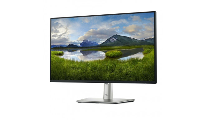 Computer Monitor - Dell P2425HE 24" Full HD IPS Black