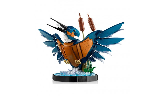 LEGO Set - LEGO Icons 10331 Kingfisher Bird