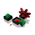 Constructor - LEGO ICONS 10309 Succulents 18+