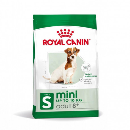 Dog Food - Royal Canin Mini Adult +8 2kg