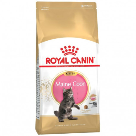 Dry Cat Food - Royal Canin Maine Coon Kitten, Blue