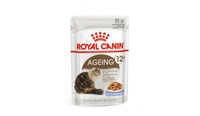 Pet Food - Royal Canin Ageing 12+