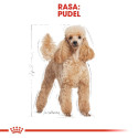 Dog Food - Royal Canin Poodle 1.5 Kg
