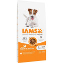 Dog Food - Iams Senior Small & Medium