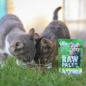 Wet Cat Food - RAW PALEO Adult Sterilised Venison 100g