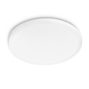 Philips Functional Twirly Ceiling Light 12 W