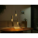 "Philips Hue White & Color Ambiance Lightguide Giant Edison ST72 E27"