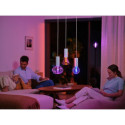 "Philips Hue White & Color Ambiance Lightguide Triangle E27"