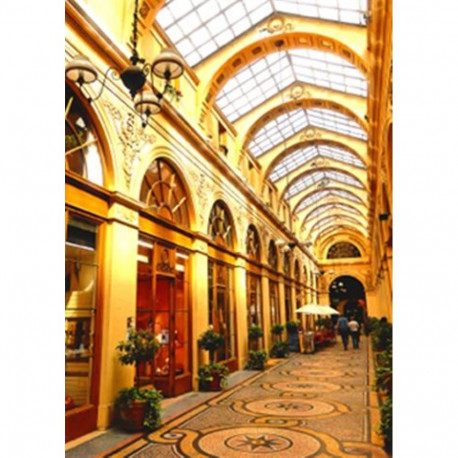 Ilford Omnijet Studio Satin 250g 10x15 cm 100 Sheets