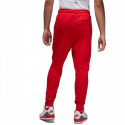 Jordan Essentials Fleece Pants M CV8347-657 (XL)