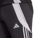 Adidas Tiro 24 WInterized M pants IM9974 (L)