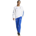 Adidas Real Madrid DNA Panty M IT3799 pants (L)