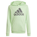 Adidas Big Logo Hoodie Jr IS2591 sweatshirt (140 cm)