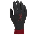 Nike Liverpool FC Thermafit HO23 Jr FQ4600-010 gloves (M)