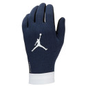 Nike PSG Academy Thermafit H023 FJ4859-010 gloves (M)