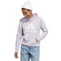 Sweatshirt adidas Big Logo FT R HD W IC6899 (L)