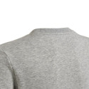 Sweatshirt adidas Big Logo Swt Jr HM8706 (134 cm) Sweatshirt adidas Big Logo Swt Jr HM8706 (134 cm)