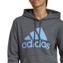 Sweatshirt adidas Big Logo FL R HD W IC9845 (XS)
