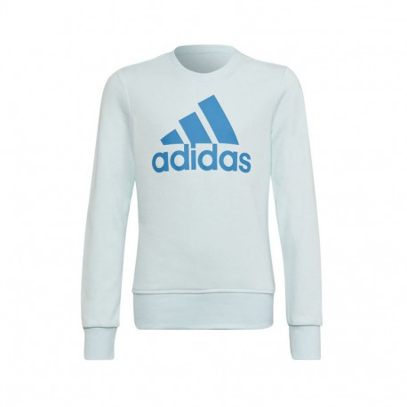Adidas Big Logo Swt Jr HM8707 sweatshirt (140 cm)