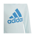 Sweatshirt adidas Big Logo Swt Jr HM8707 (152 cm)