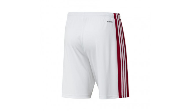 Adidas Squadra 21 Short M GN5770 (S)