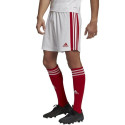 Adidas Squadra 21 Short M GN5770 (S)