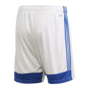 Adidas Tastigo 19 Shorts M FI6355 (S)