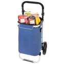 Allround Cruiser 650065 shopping trolley