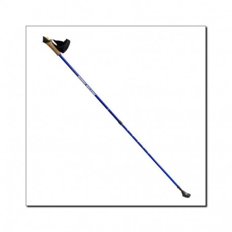 Nordic Walking poles Nils Extreme NW607 blue