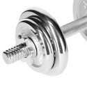 Barbells in a CHROME HMS 2x10kg STC20 case