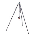 3 Legged Thing Pro 2.0 Albert Carbon tripod & AirHed Pro Grey