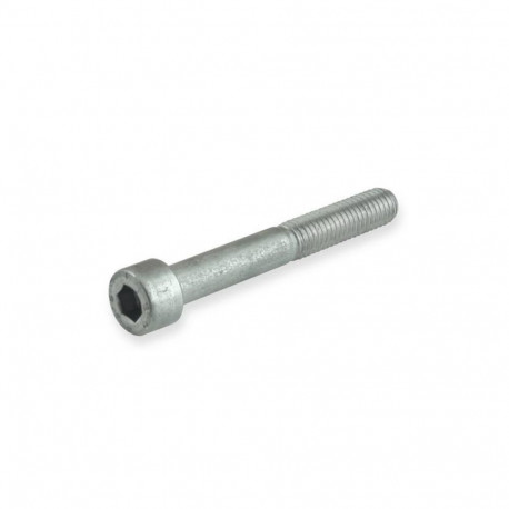 pesa kruvi M 6X30 A2-70 DIN912/ 4 tk