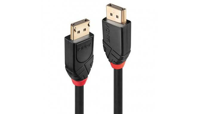 Lindy 20m Active DisplayPort 1.2 Cable
