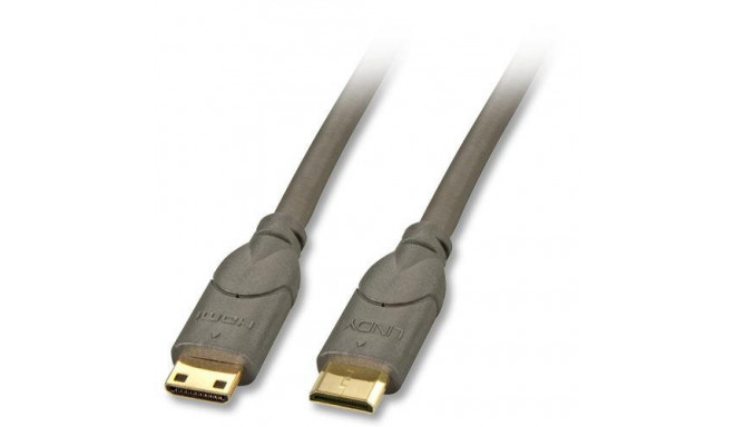 Lindy 2m HDMI CAT2 HDMI cable HDMI Type C (Mini) Black