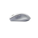 ASUS WT425 mouse Office Right-hand RF Wireless Optical 1600 DPI