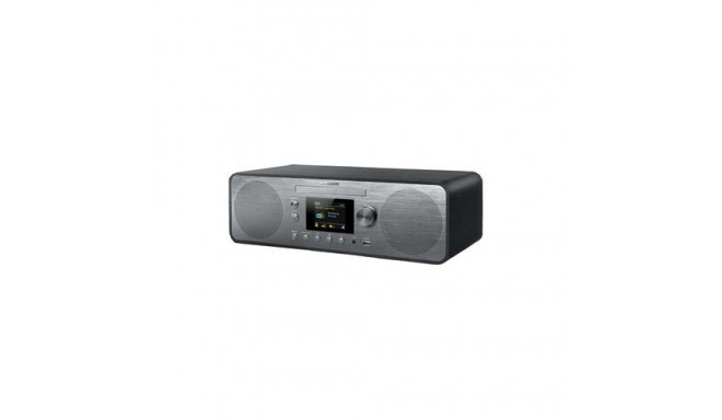 Muse M-885 DBT 80 W DAB, FM Black MP3 playback