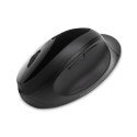 Kensington Pro Fit Ergo Wireless Mouse - Black