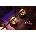 Philips Hue White 1-pack luster P45 E14